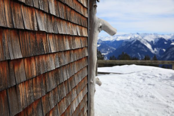 Cedar Siding Repair in Sherman