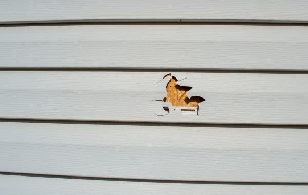 Siding Hole Patching in Sherman